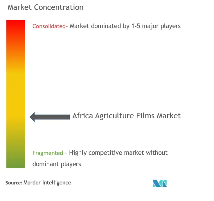  Berry Global Inc., dominates the market, followed by Rhino Plastics (Pty) Ltd, Gundle Plastics Group (Pty) Ltd, Ginegar Plastic Products Ltd, and Trioworld