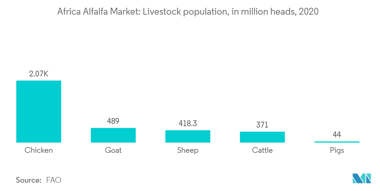 Afrikanischer Alfalfa-Heumarkt Afrikanischer Alfalfa-Markt Viehbestand, in Millionen Stück, 2020