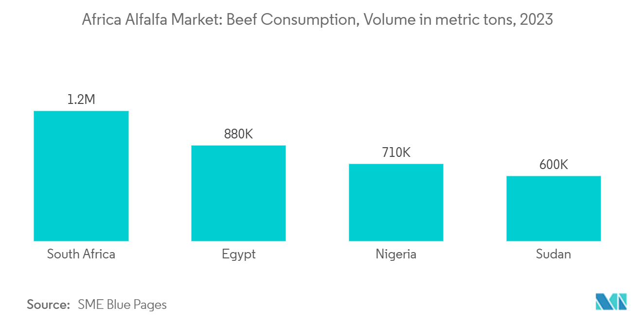 アフリカのアルファルファ市場牛肉消費量（メートルトン）、2023年