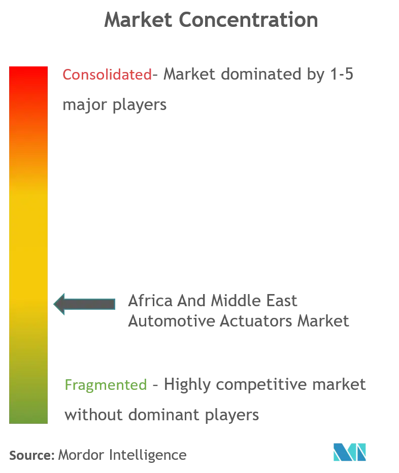 Africa And Middle East Automotive Actuators Market_Market Concentration.png
