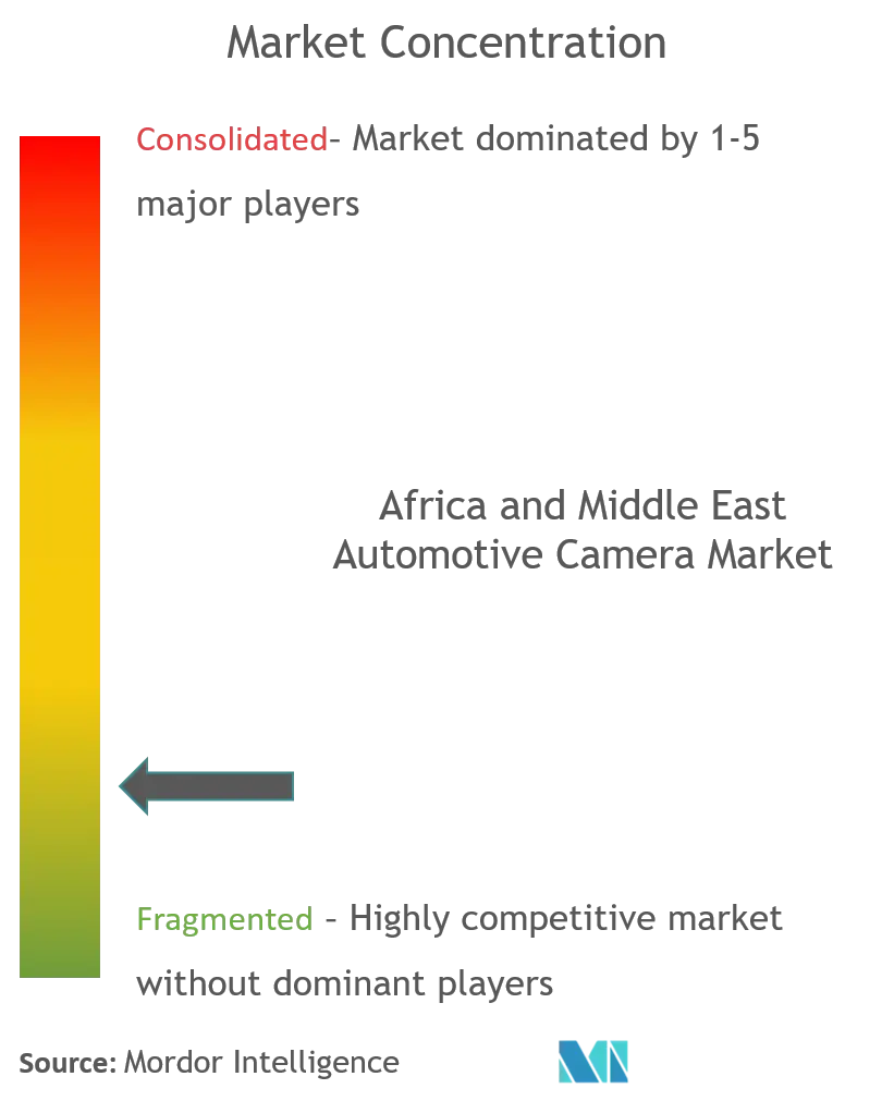 Automobilkamera für Afrika und den Nahen OstenMarktkonzentration