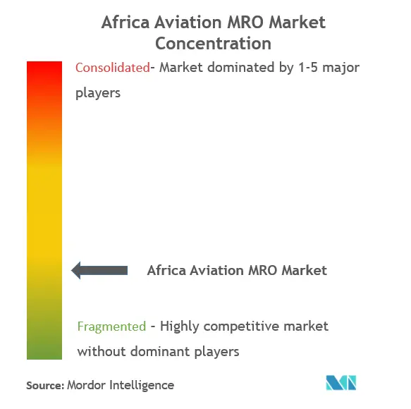 Africa Aviation MRO Market Concentration