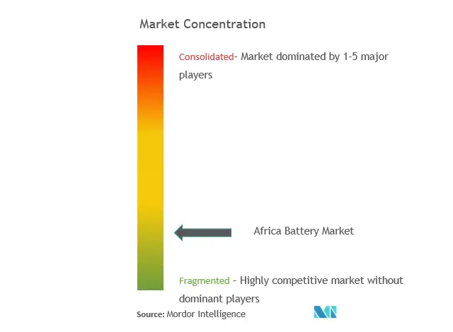 アフリカバッテリー市場集中度