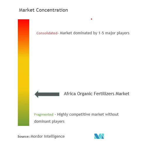 Africa Organic Fertilizers Market  Concentration