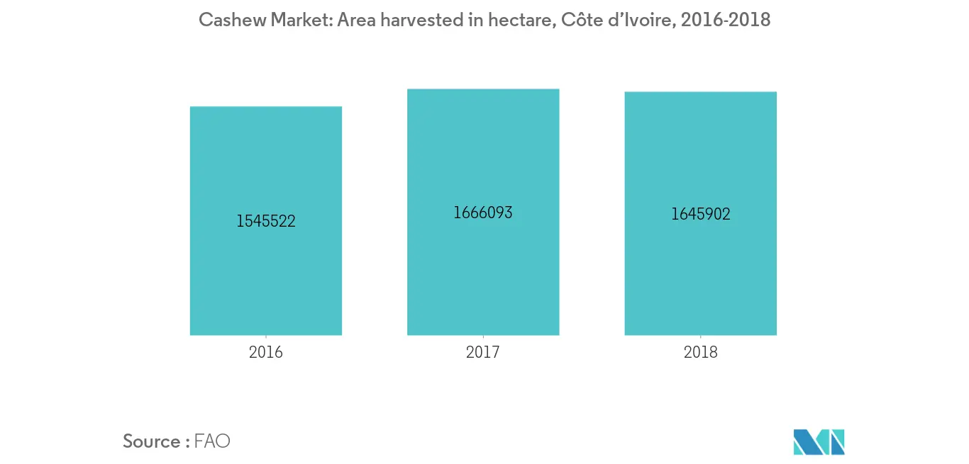 cashew import from africa