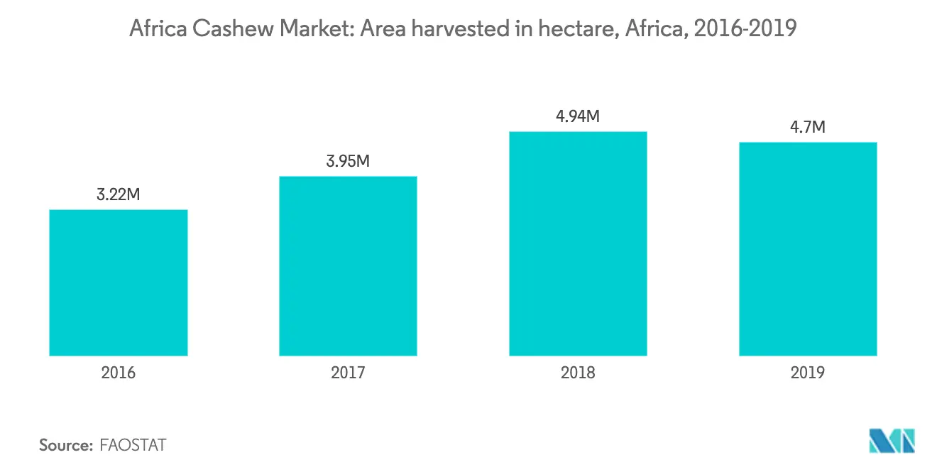 Africa Cashew Market Growth