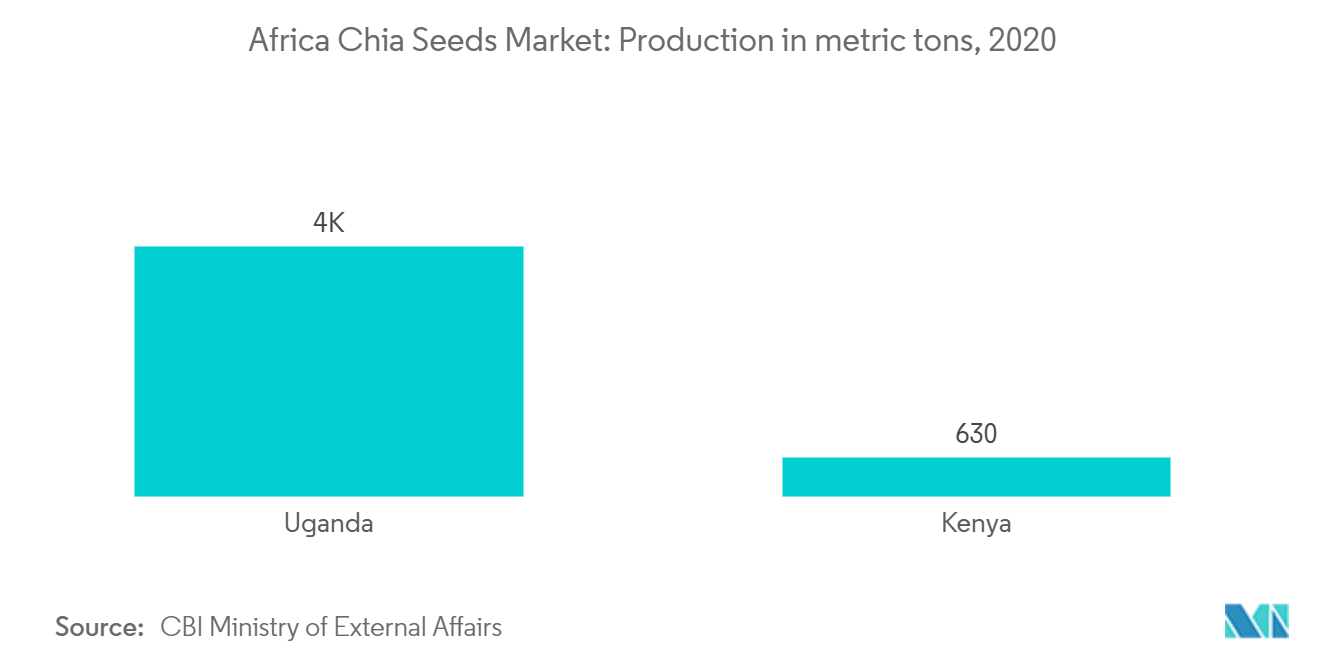 chia seed