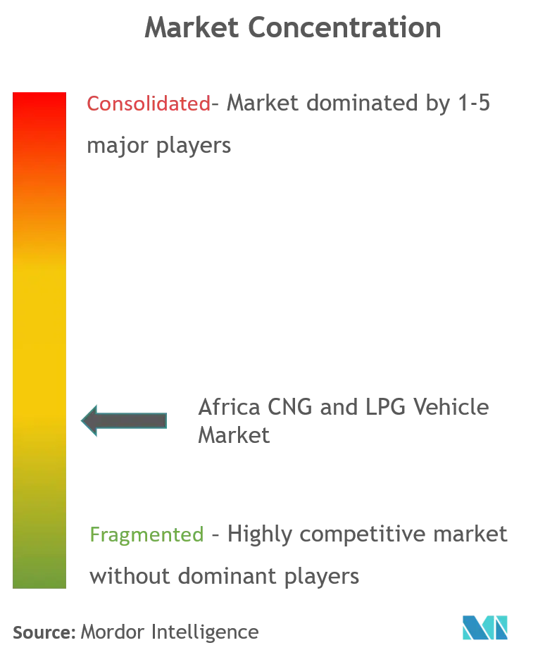 Africa CNG And LPG Vehicle Market Concentration