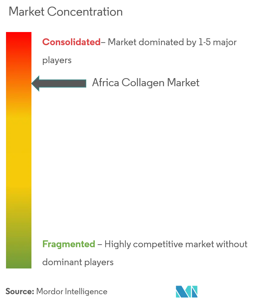 Colágeno de ÁfricaConcentración del Mercado