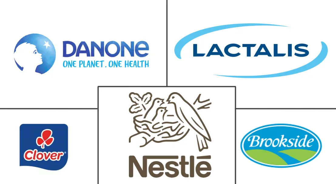 Africa Dairy Based Beverages Market Major Players