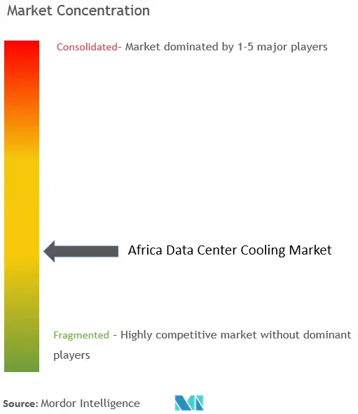 Africa Data Center Cooling Market - Market Concentration