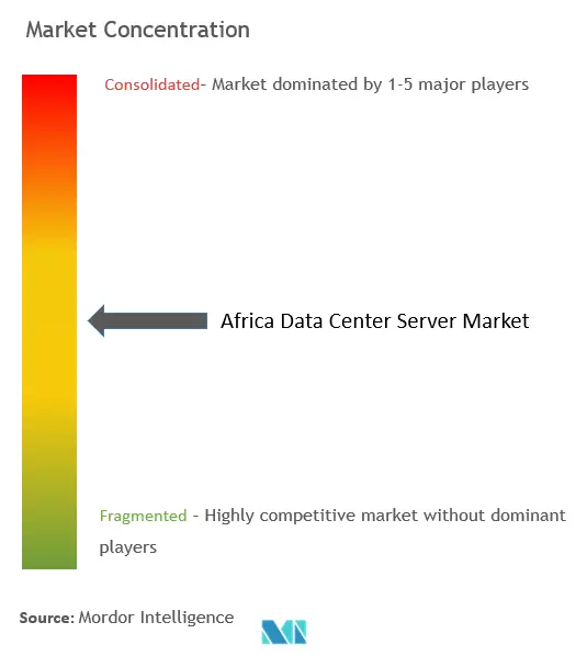 Africa Data Center Server Market Concentration
