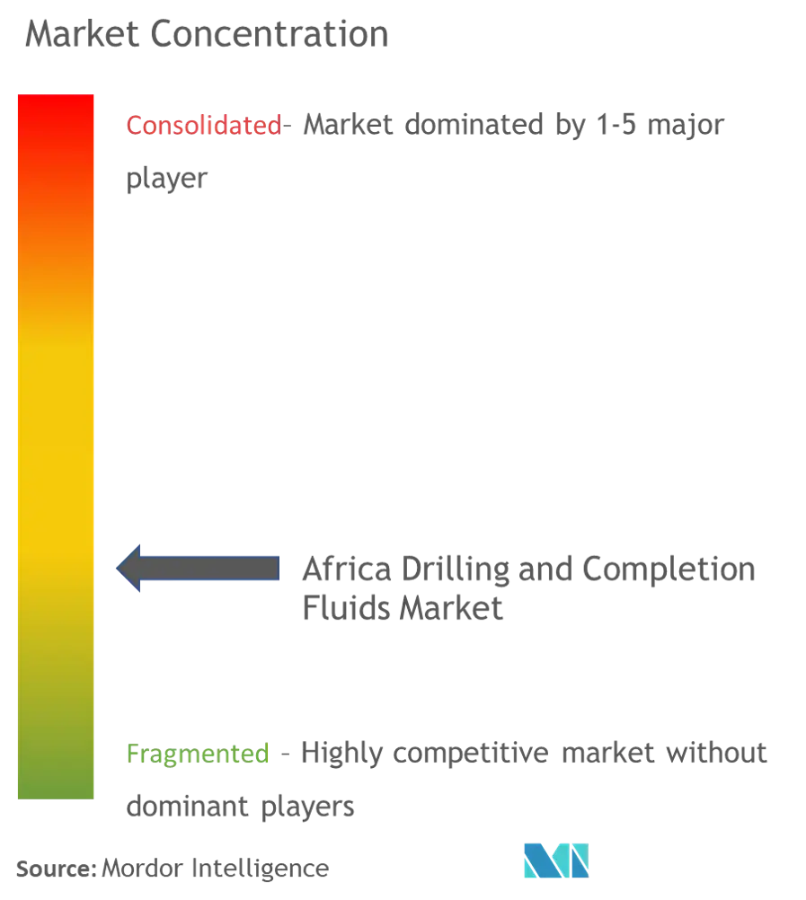 Marktkonzentration für Bohr- und Komplettierungsflüssigkeiten in Afrika