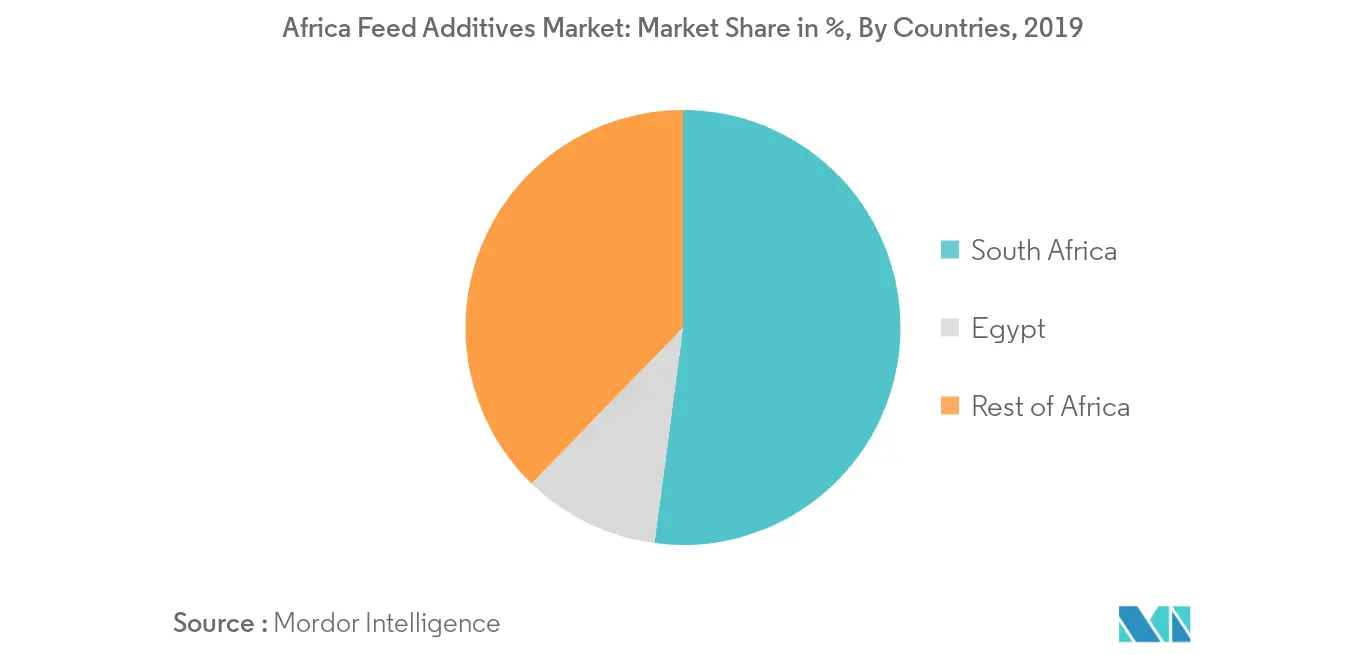 Africa Feed Additives Market: Market Share (%), By Countries, Africa, 2019