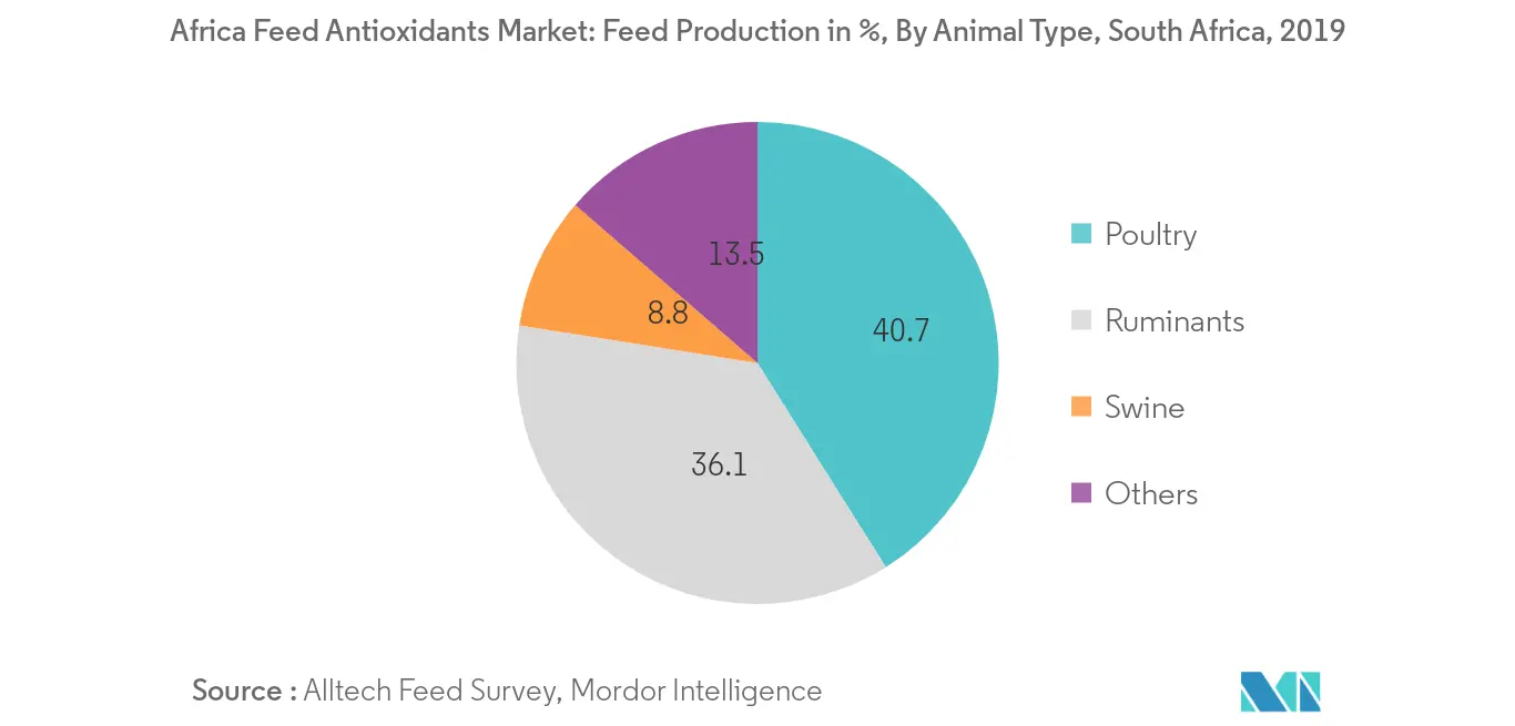 アフリカの飼料用酸化防止剤市場飼料生産量（百万トン）（南アフリカ、2019年