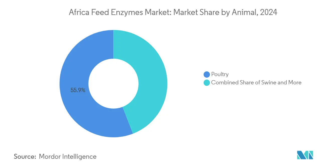 Africa Feed Enzymes Market: Market Share by Animal