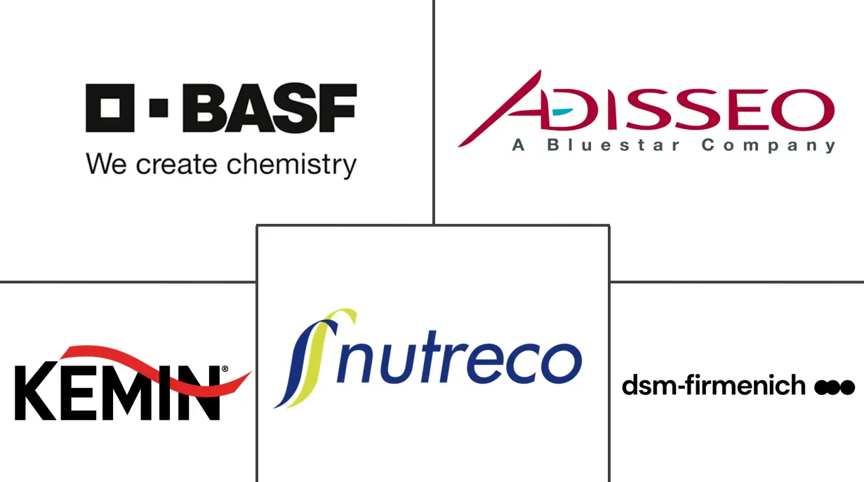 Major players in Africa Feed Pigments industry