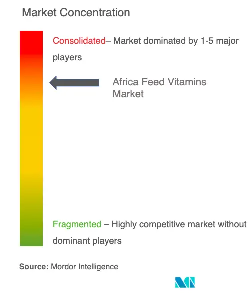 Vitaminas para piensos en ÁfricaConcentración del Mercado