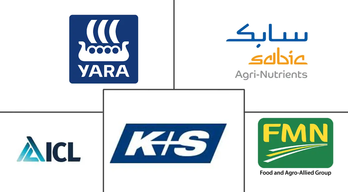 아프리카 바카라 시스템 배팅 산업의 주요 참여자