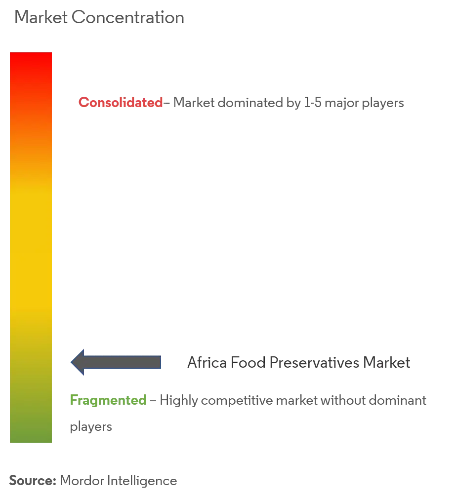 Africa Food Preservatives Market Concentration