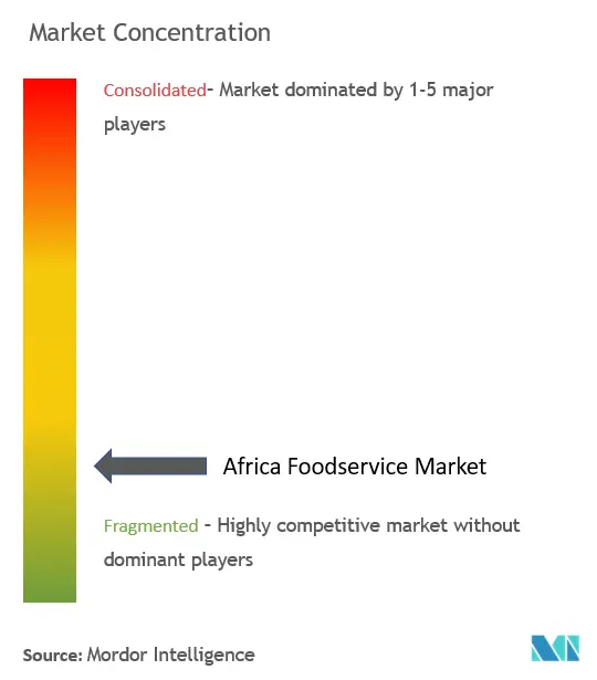 Africa Foodservice Market Concentration