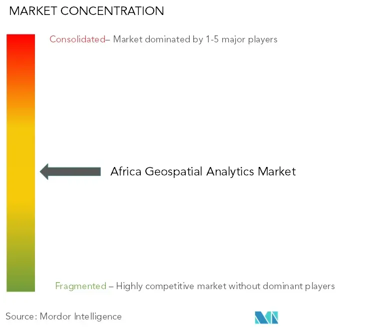 Africa Geospatial Analytics Market Concentration