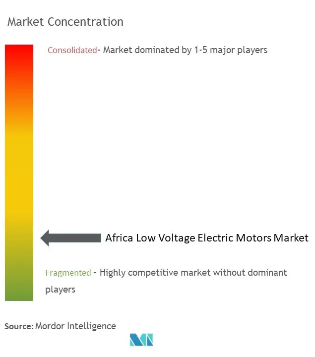 Africa Low-Voltage Electric Motors Market Concentration