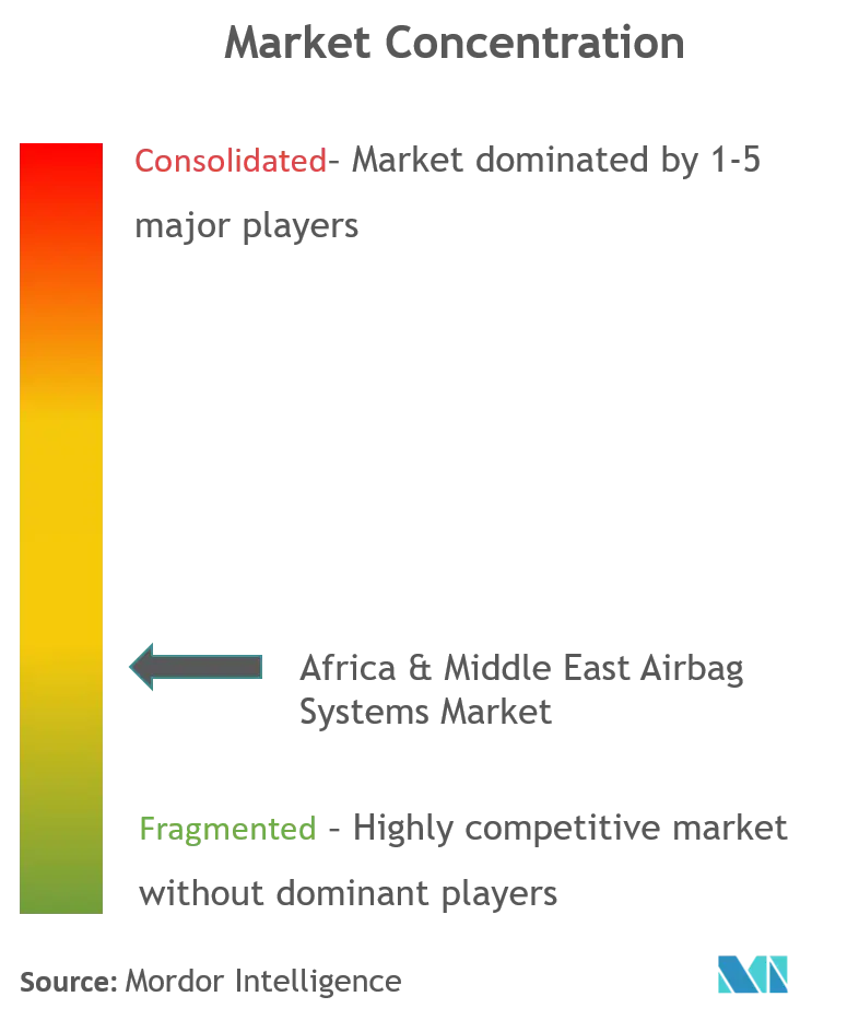 Africa & Middle East Airbag Systems Market_Market Concentration.png