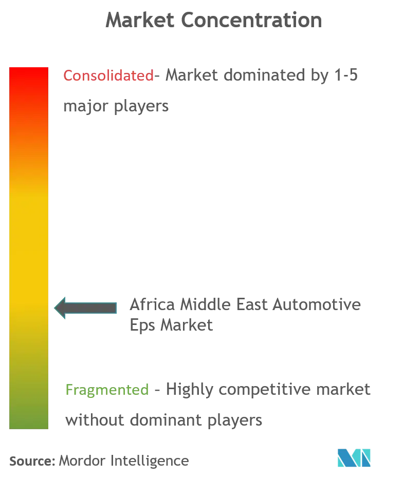África Oriente Medio Automotive Eps Market_Market concentración.png