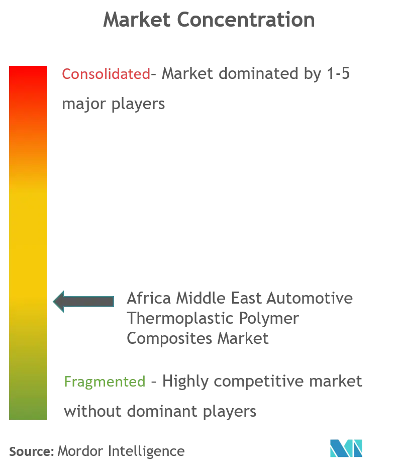 Africa Middle East Automotive Thermoplastic Polymer Composites Market_Market Concentration.png
