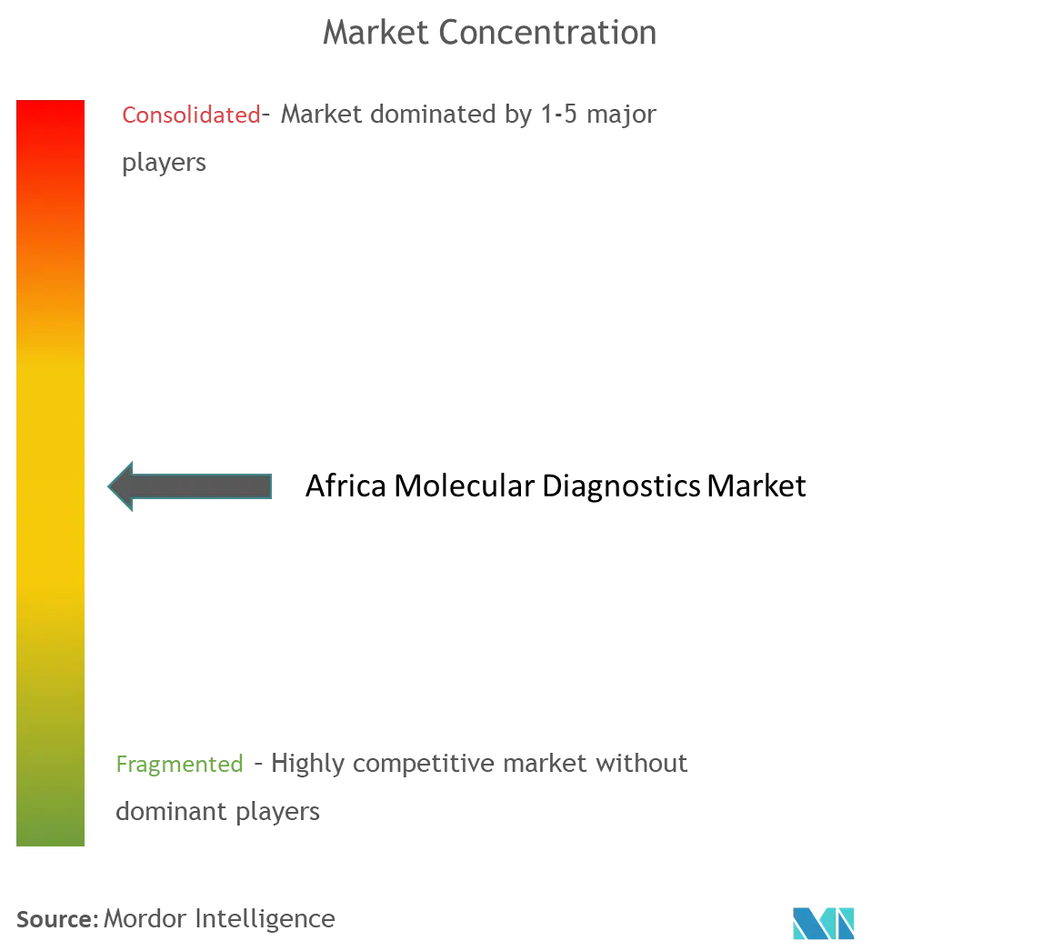 Africa Molecular Diagnostics Market Concentration