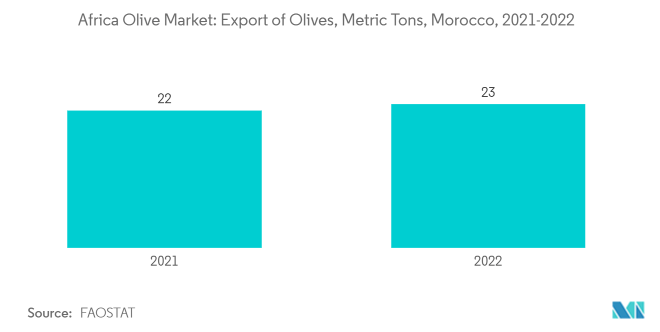 Africa Olive Market: Export of Olives, Metric Tons, Morocco, 2021-2022