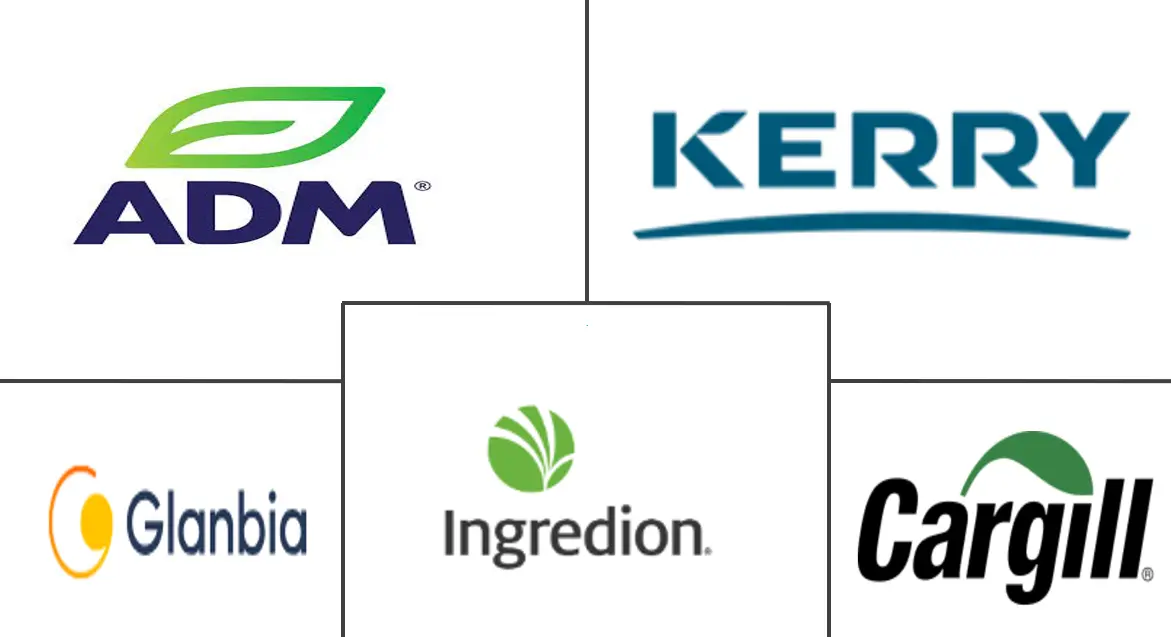 아프리카 식물 바카라사이트 온카판 시장 주요 업체