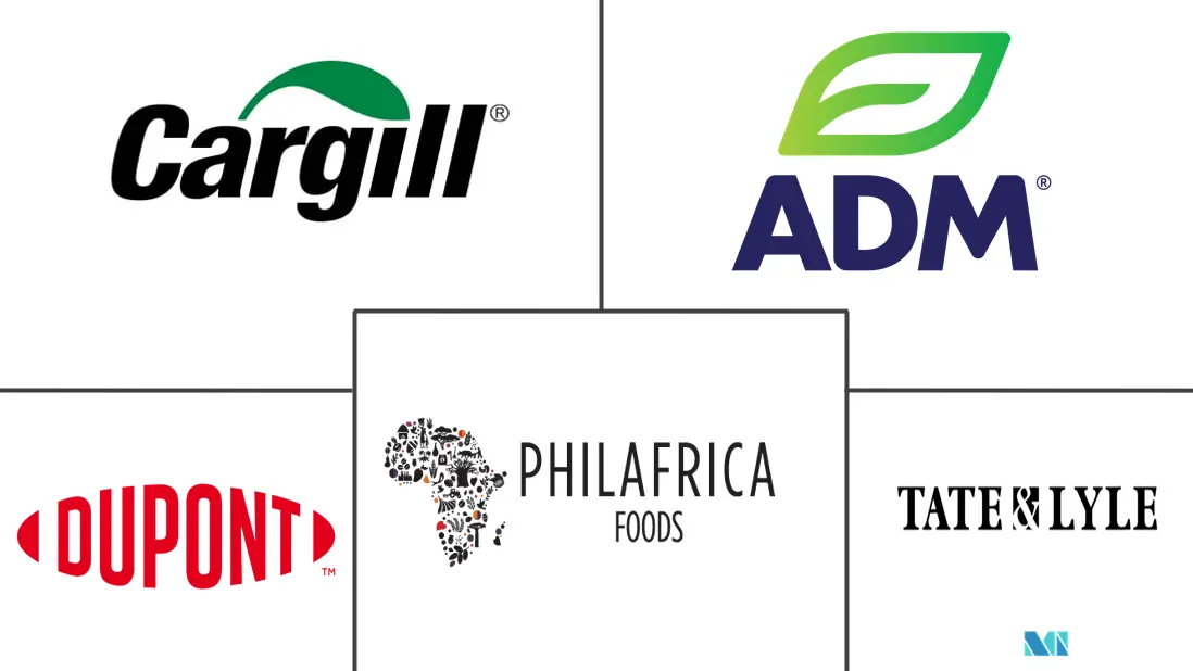 非洲植物蛋白市场主要参与者