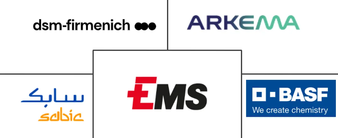 Major players in Africa Polyamide industry