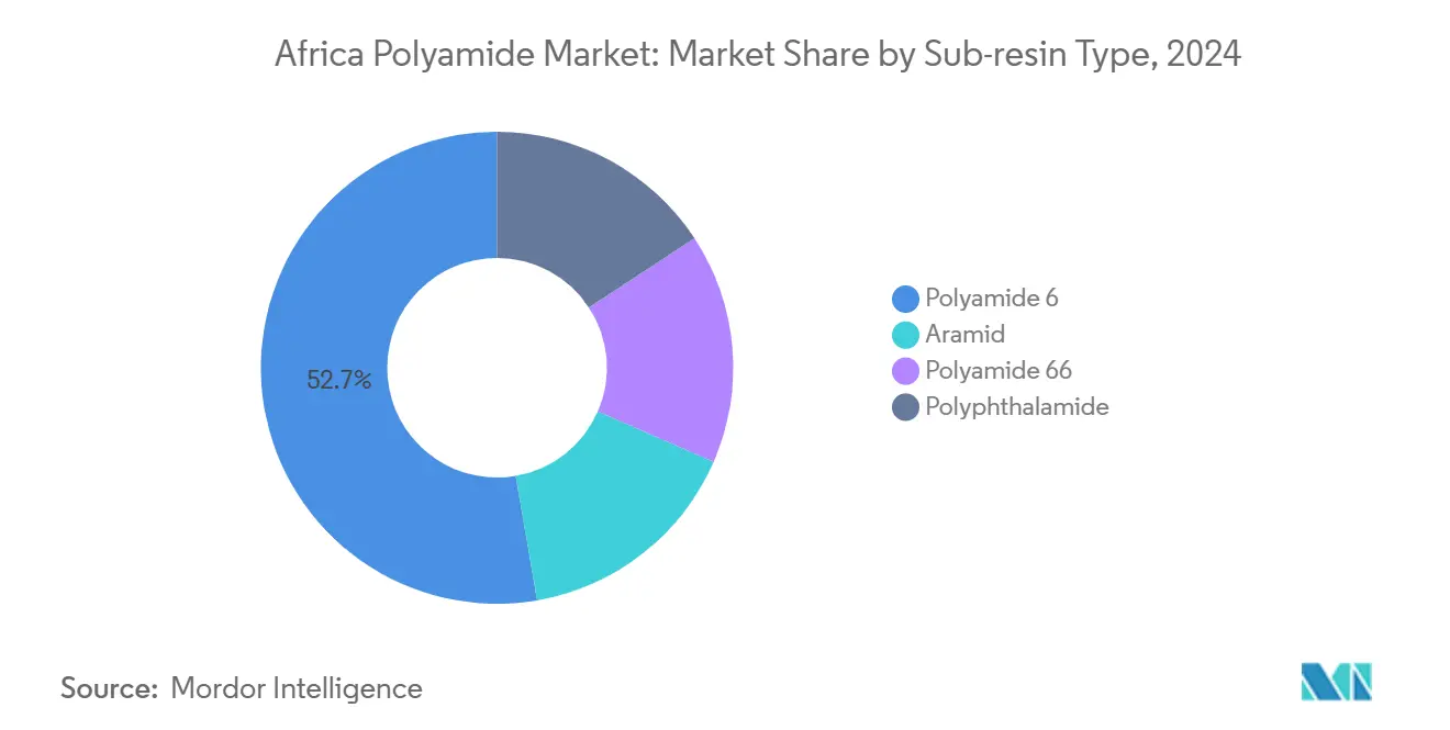 Africa Polyamide Market: Market Share by Sub-resin Type