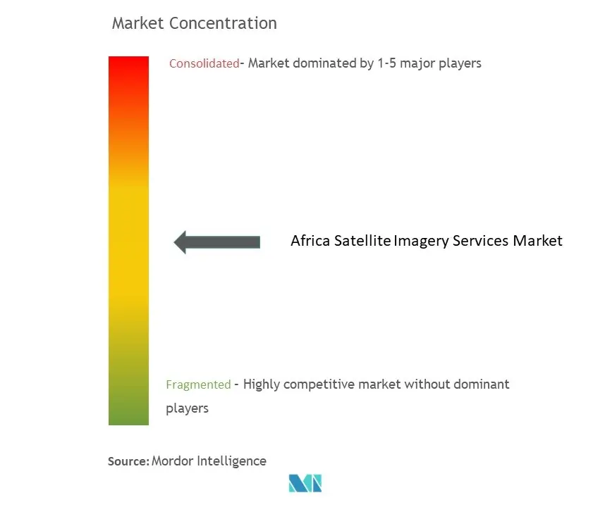 Africa Satellite Imagery Services Market Concentration