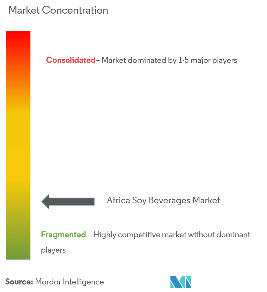 Africa Soy Beverages Market Concentration