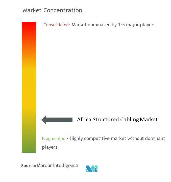 Africa Structured Cabling Market Concentration