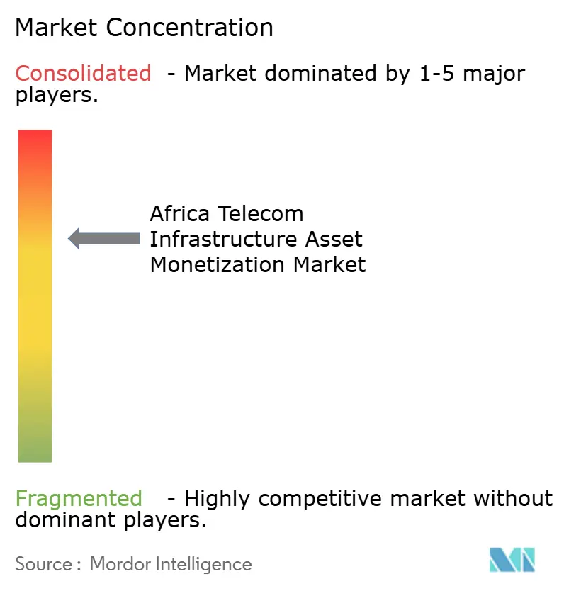 Africa Telecom Infrastructure Asset Monetization Market Concentration