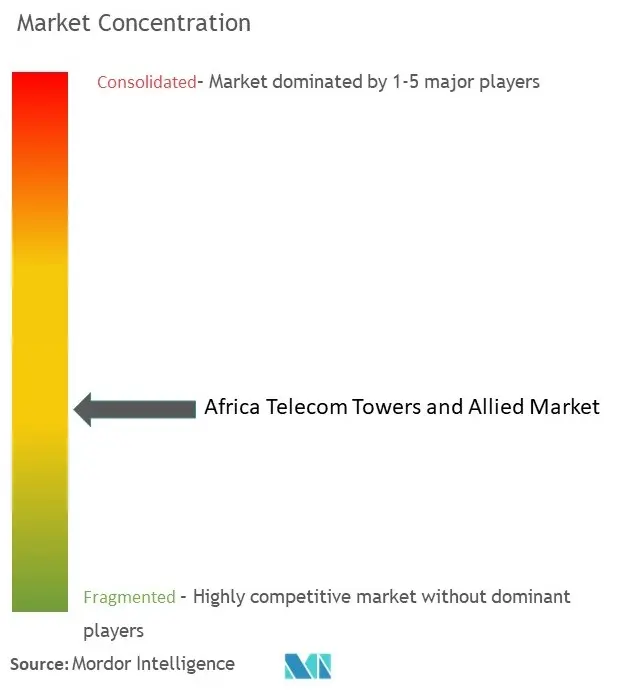 Tours Africa Telecom et alliésConcentration du marché