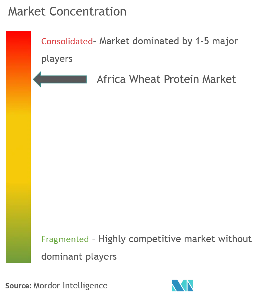 Africa Wheat Protein Market Concentration