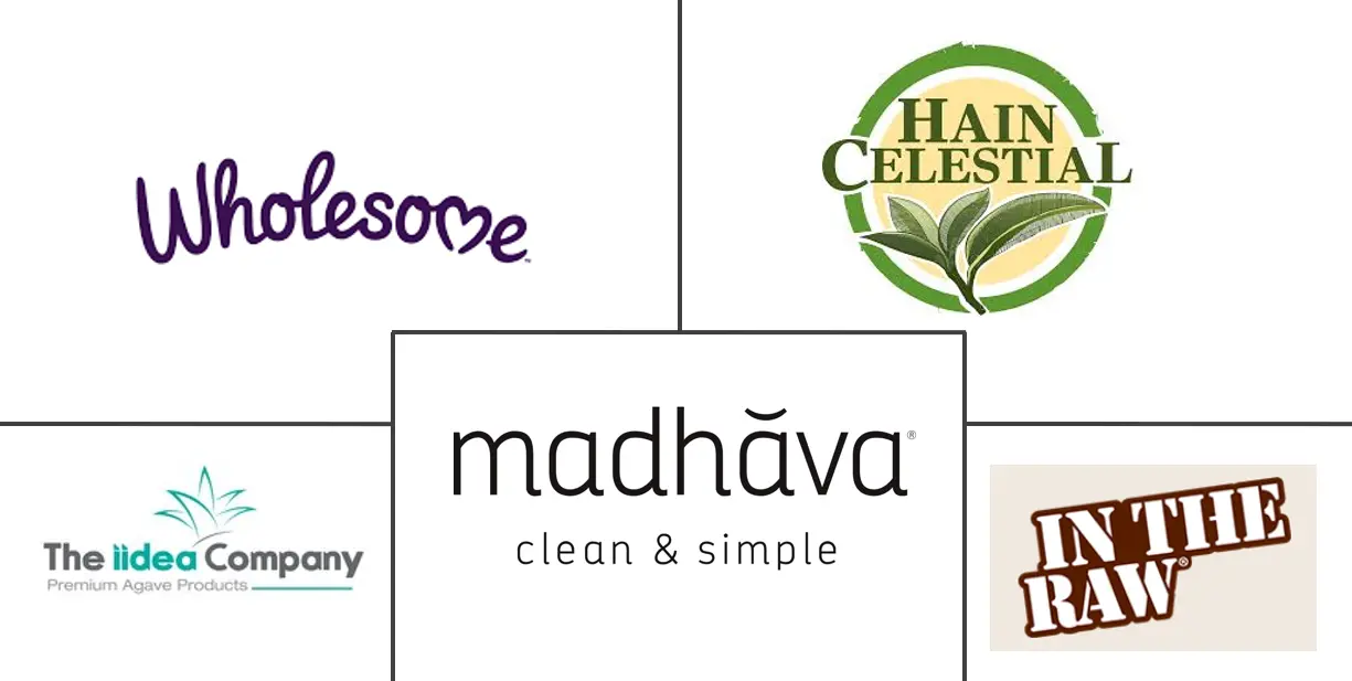 Agave Syrup Market Major Players