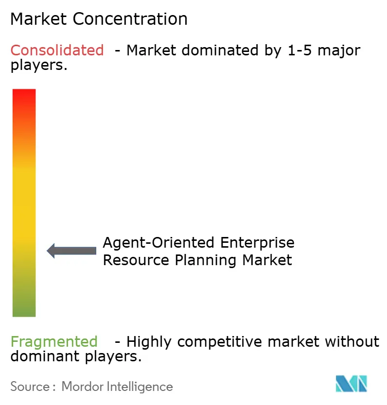  Agent-Oriented Enterprise Architecture Market Concentration