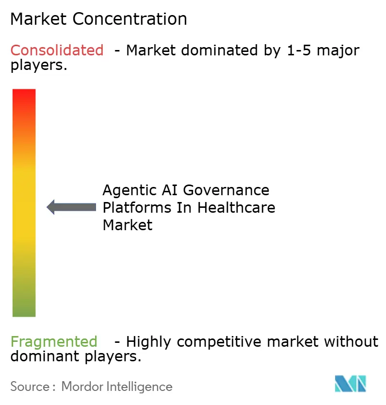 Agentic AI Governance Platforms In Healthcare Market Concentration