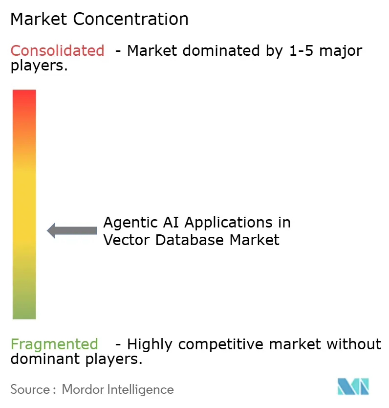 Agentic AI Applications in Vector Database Market Concentration