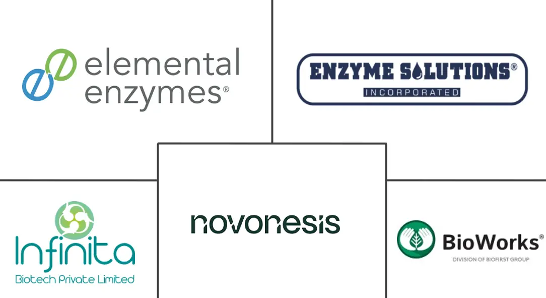 Principaux acteurs dans Marché des Enzymes Agricoles industrie