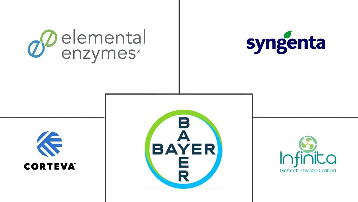 Agricultural Enzymes Market Major Players