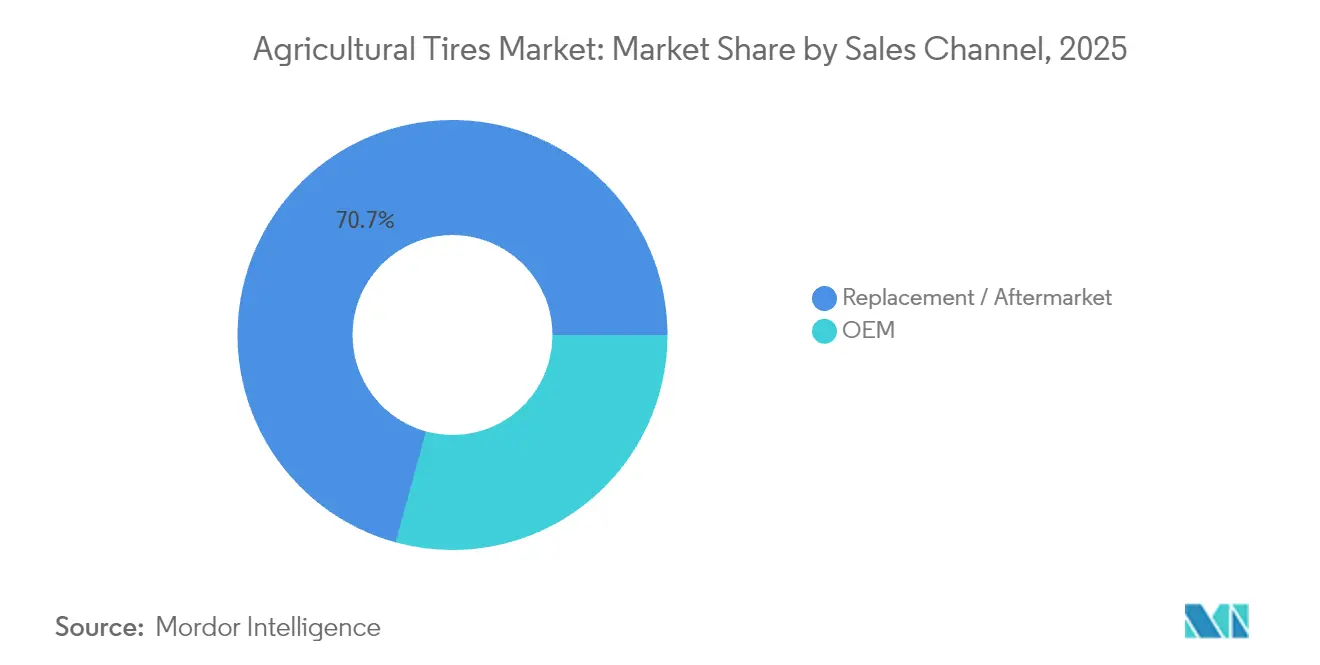 Agricultural Tires Market: Market Share by Sales Channel, 2025