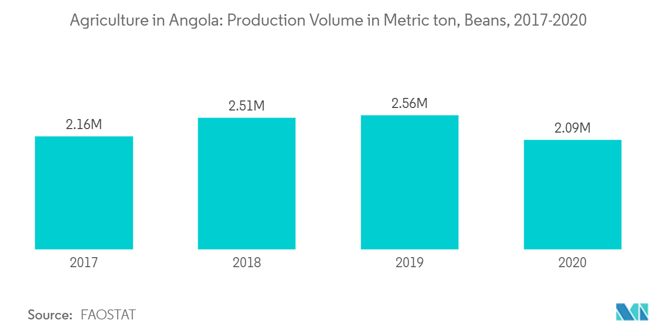 Agriculture in Angola: Production Volume in Metric ton, Beans, 2017-2020